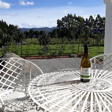 Hotel Woodside Orchard Greytown Exteriér fotografie